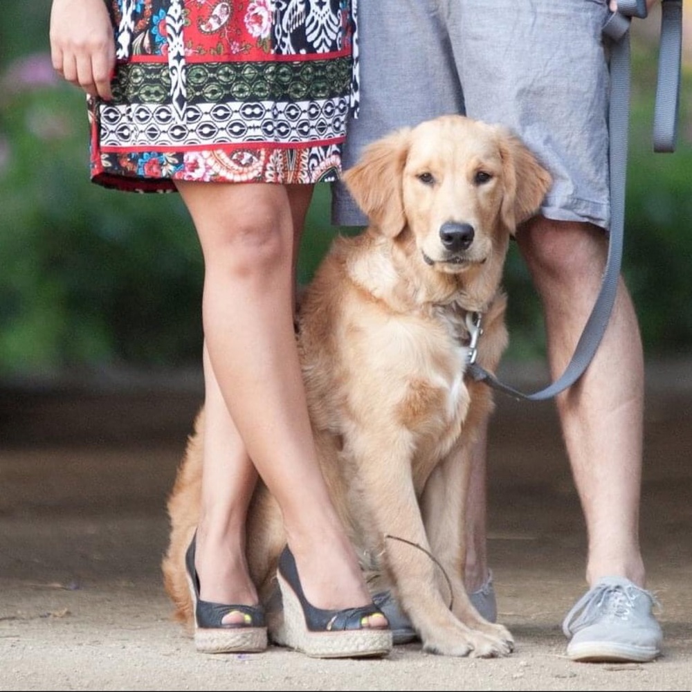Peep toe Wedges